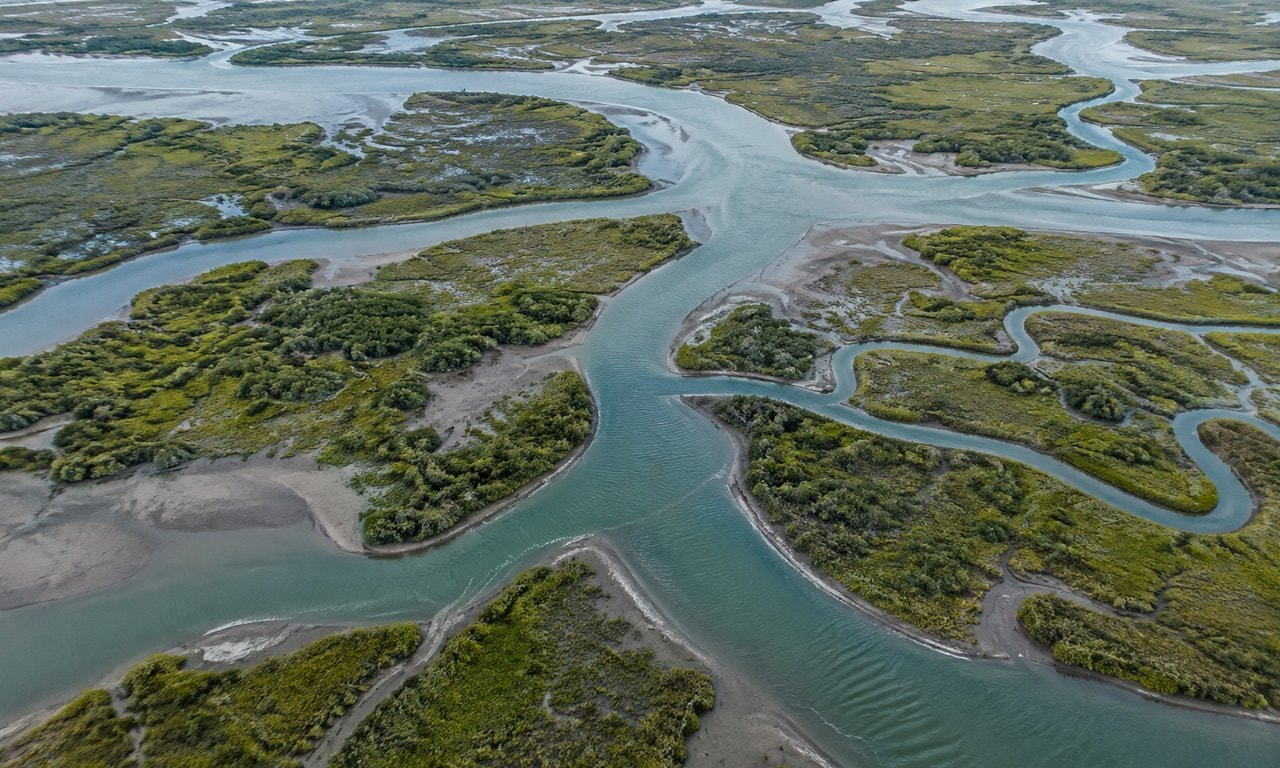 Branching river channels winding through green marshland, seen from above